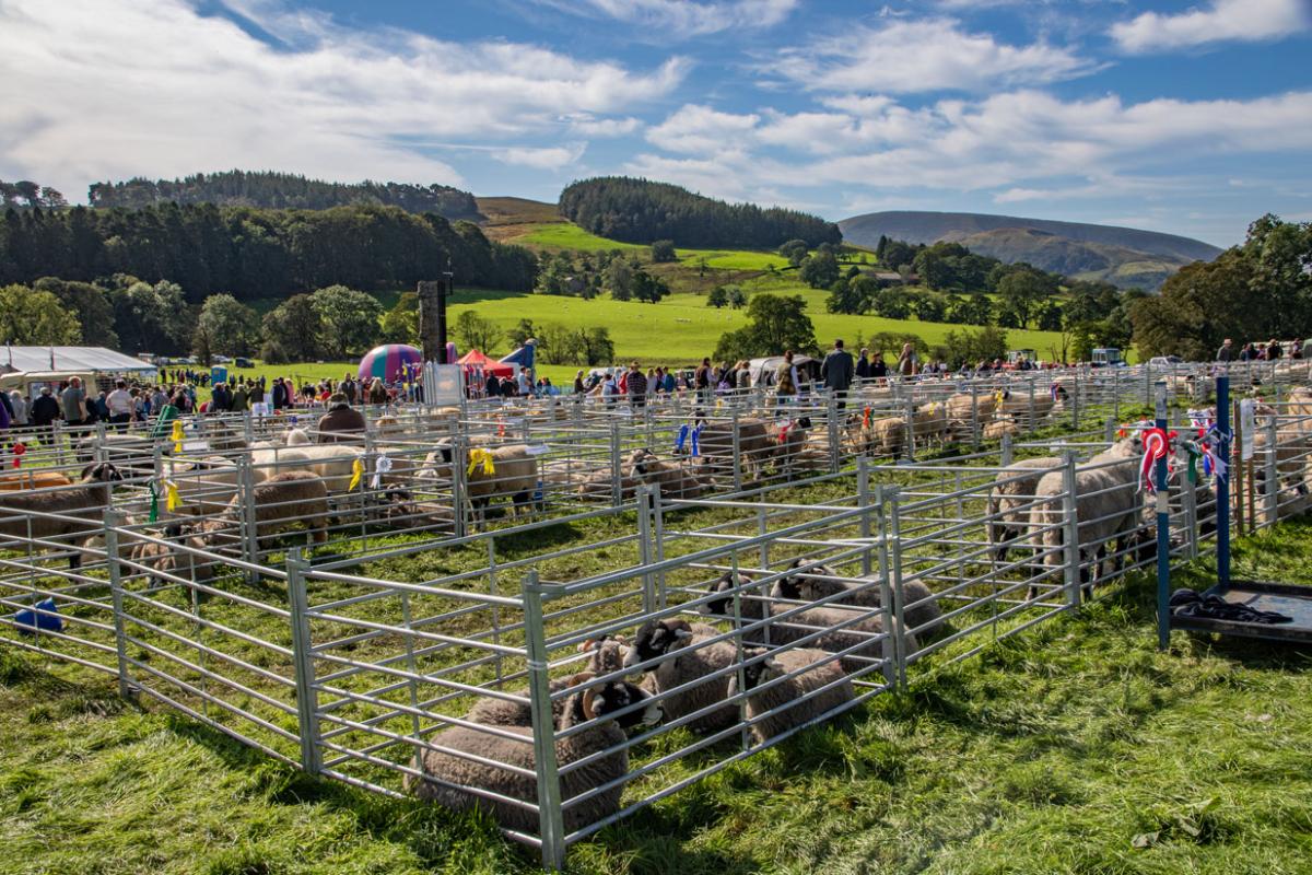 Hodder Valley Show by Peter Costello