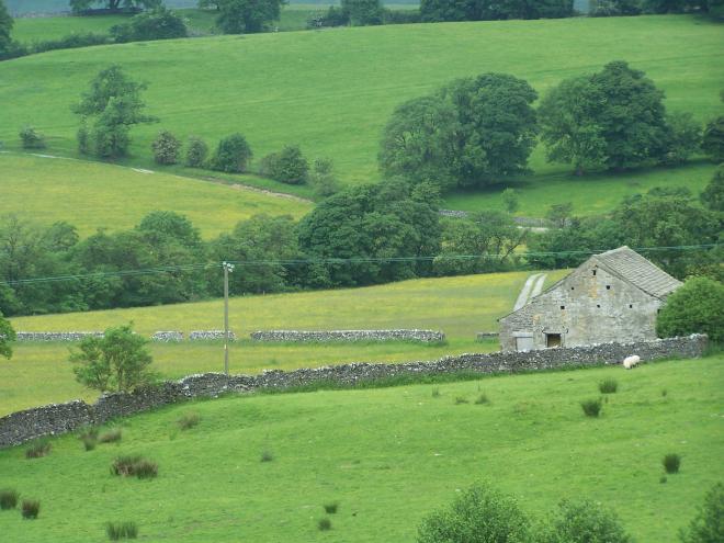 Bell Sykes Hay Meadows