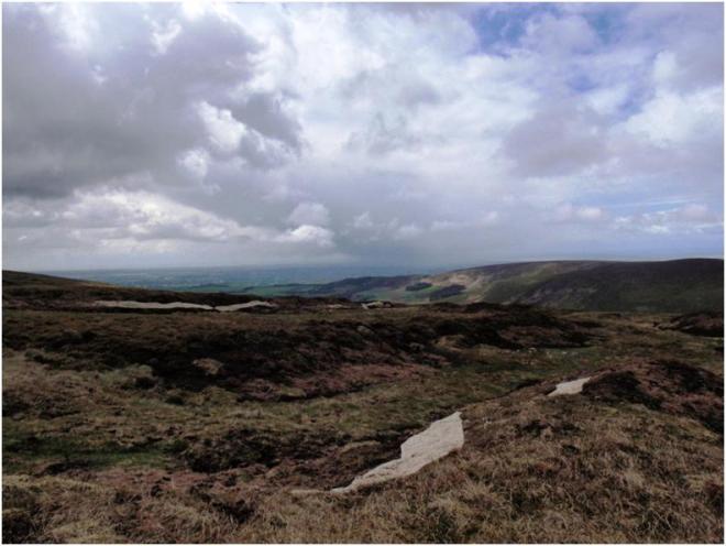 Bleasdale Peat Restoration