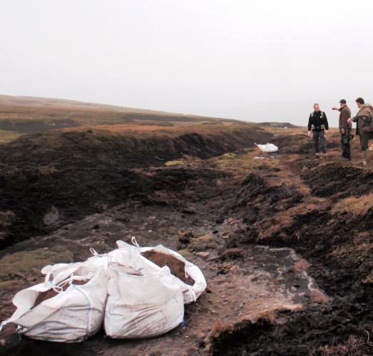 Peat restoration Fiensdale Head