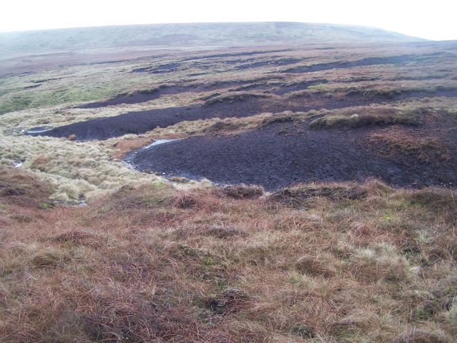 Bare peat on Holcolme Moor Bare peat on Holcolme Moor