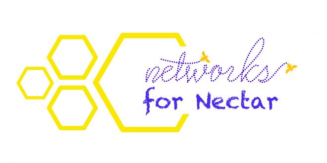 N4N logo