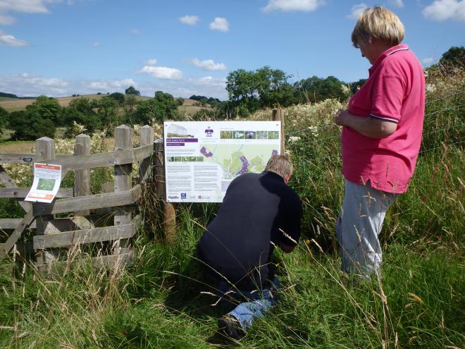 Coronation Meadow