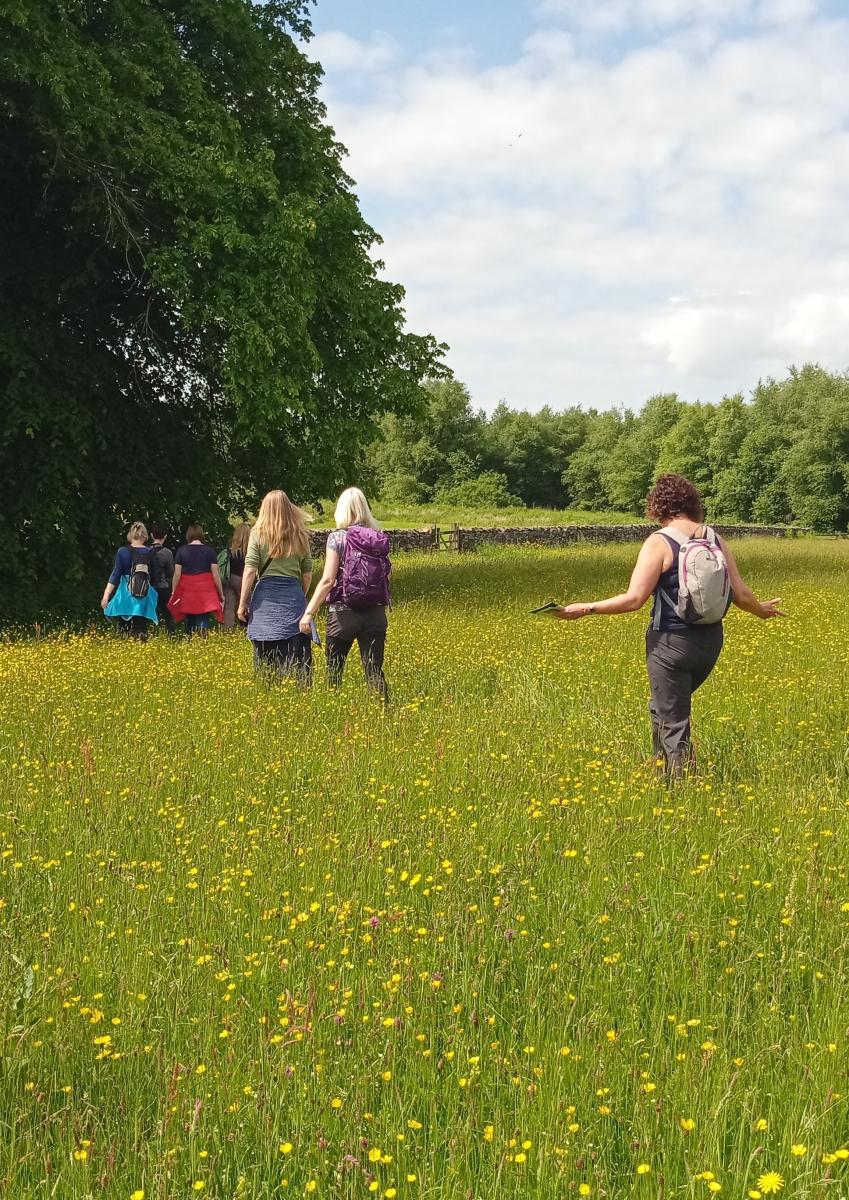 Meadow Inspiration Walk