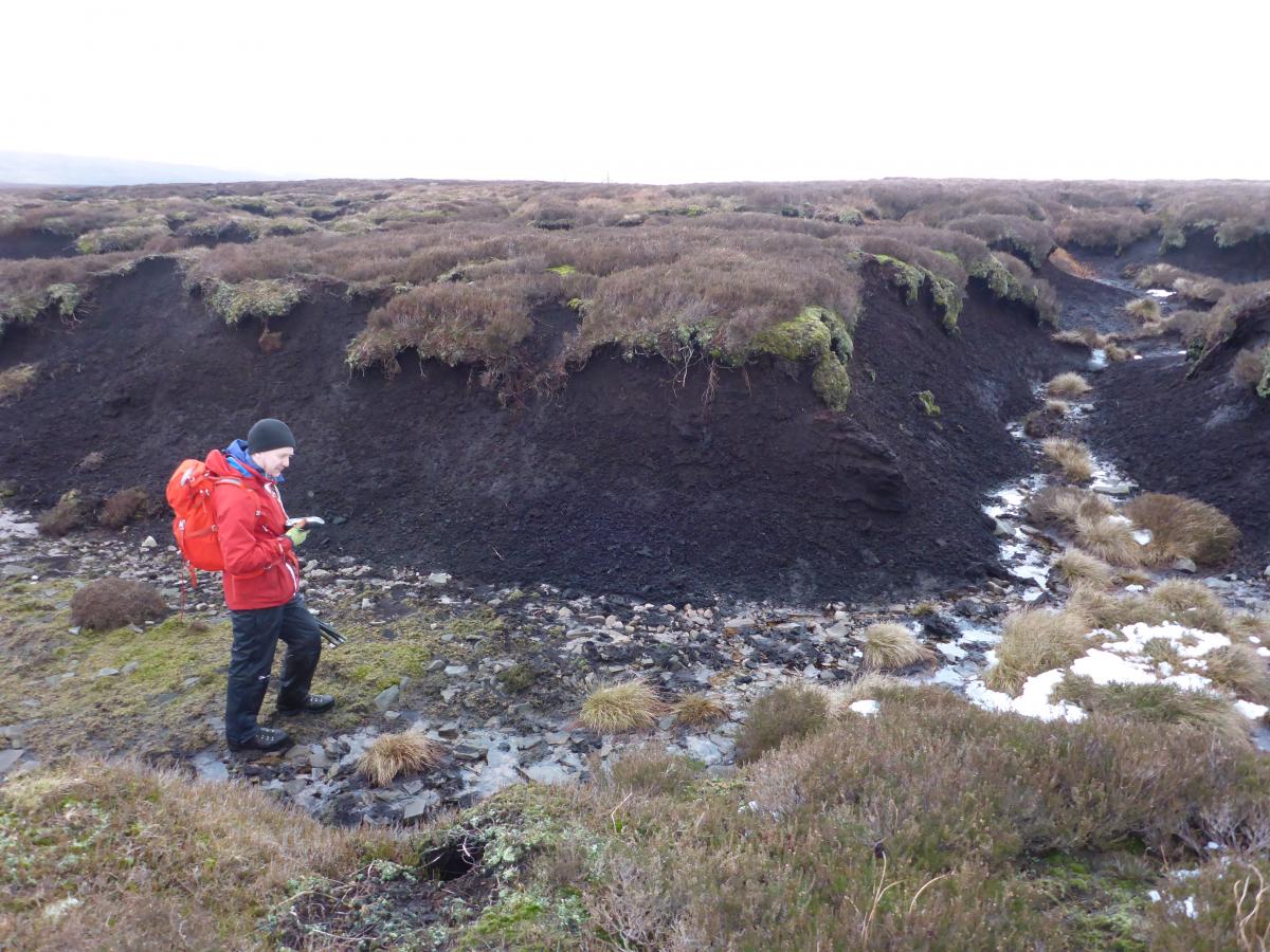 Dr Chris Miller surveying at Holme House