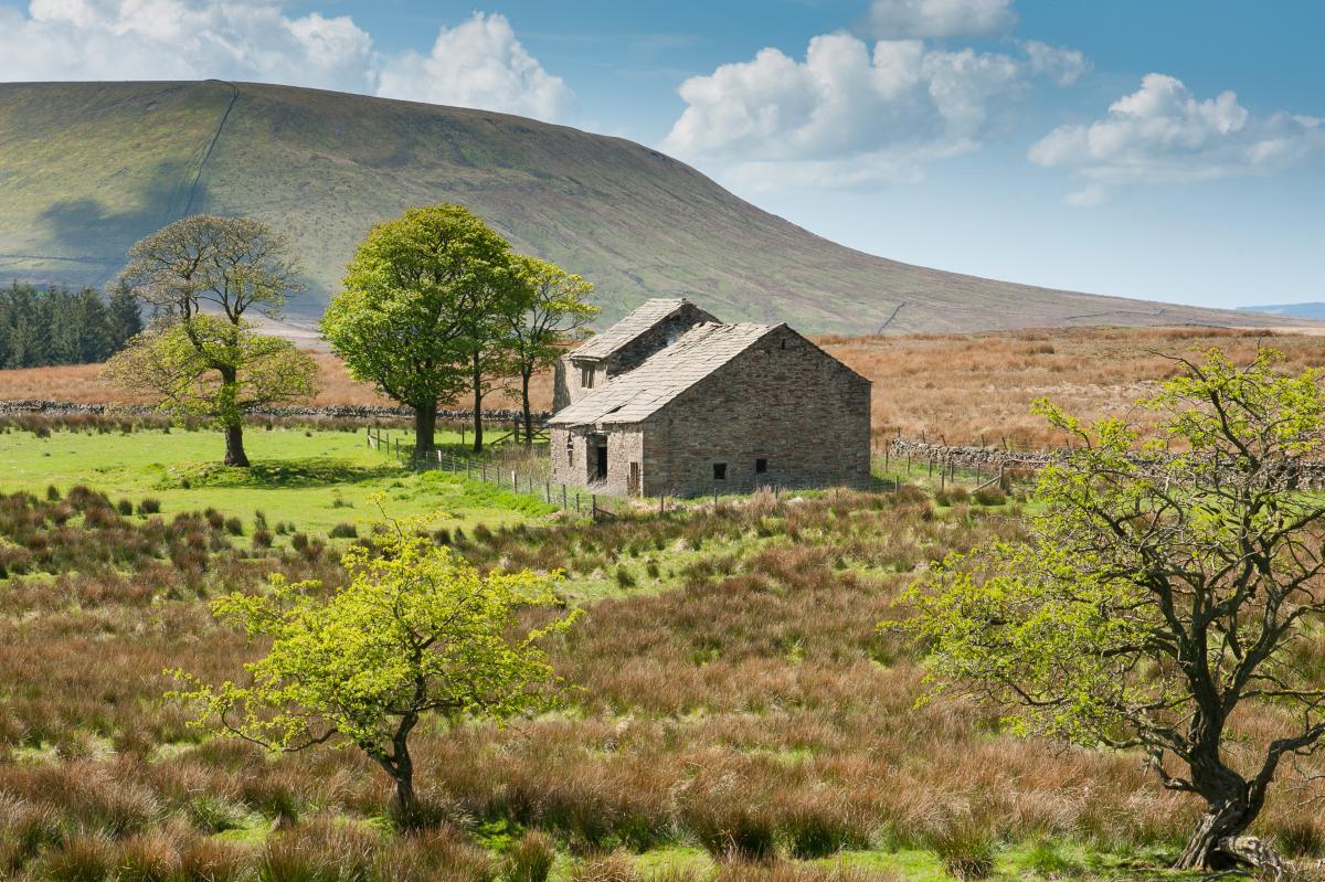 Firber House, Rimington and Twiston Moors beneath Pendle Hill by Graham Cooper