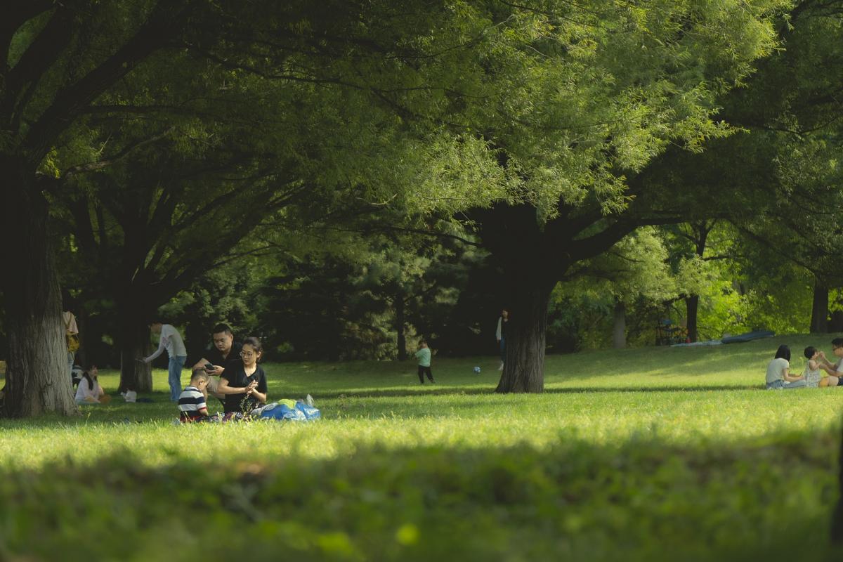 Picnic in the park - pixabay stock image