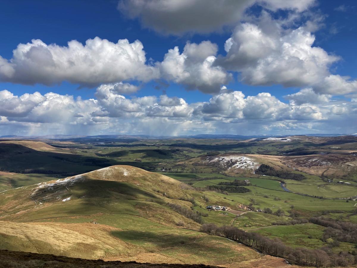 David Fish - View over Mellor Knoll