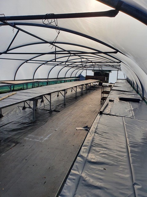 Polytunnels