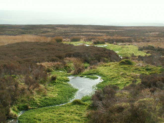 Blanket Bog - image copyright Jon Hickling