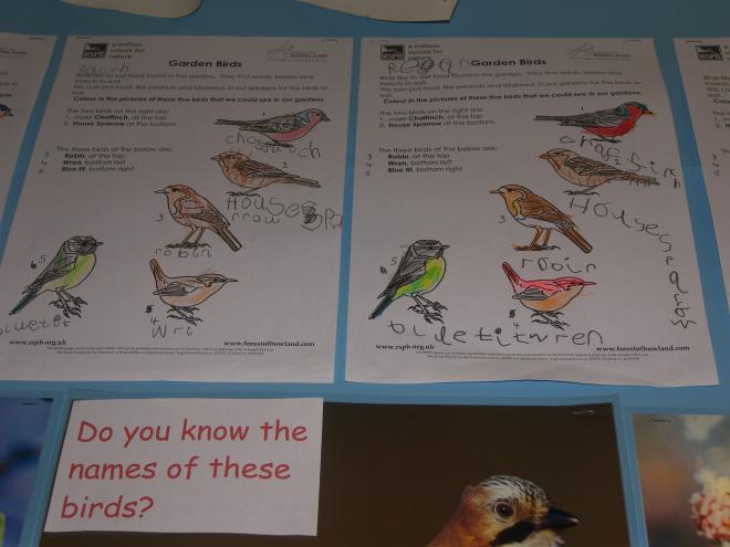 RSPB Education Project