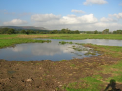 Shallow wader scrape