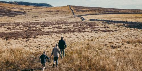 Walking Routes
