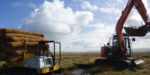 Peatland Restoration