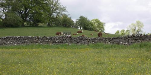 Farming