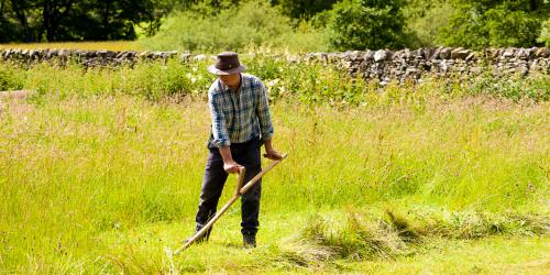 Hay Time Project