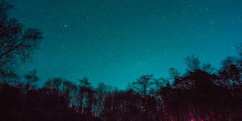 Star Gazing
