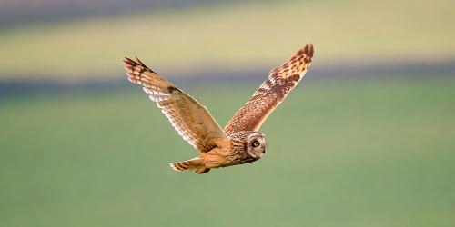 Visitor Photo Gallery