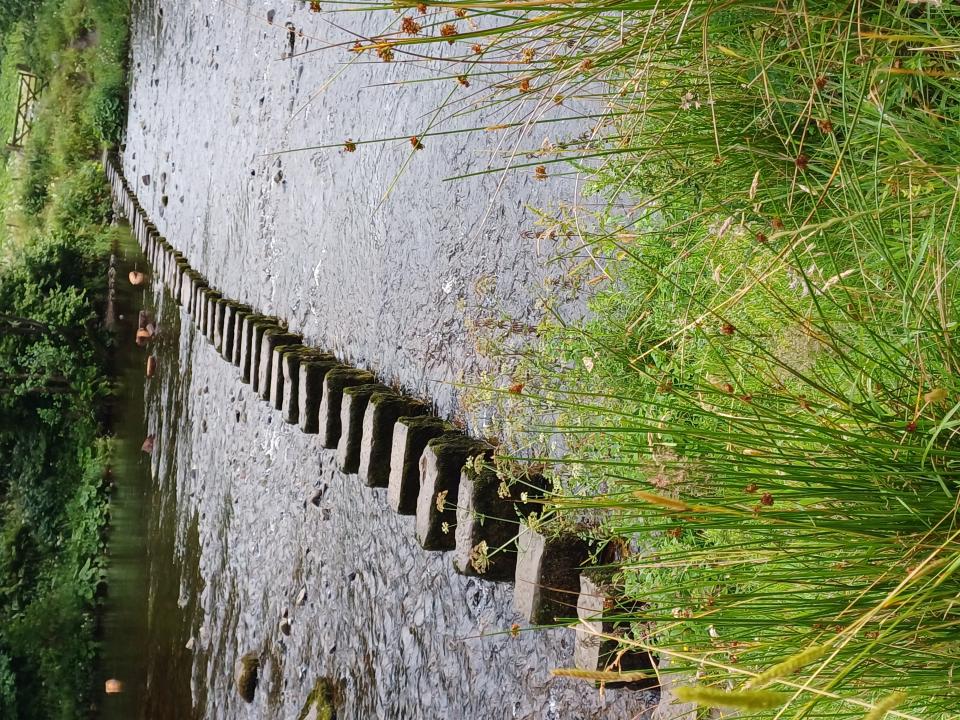 Stepping Stones