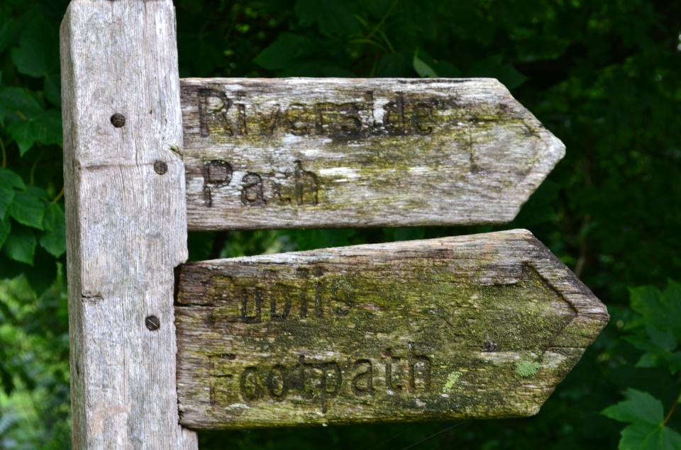 Which way to go?