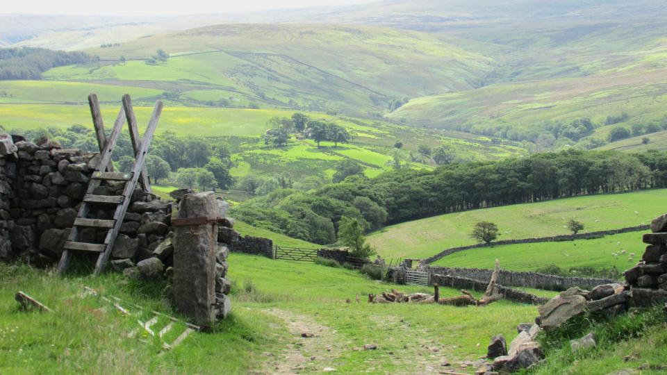 Summer in Littledale