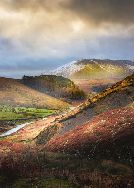 Autumn in The Trough