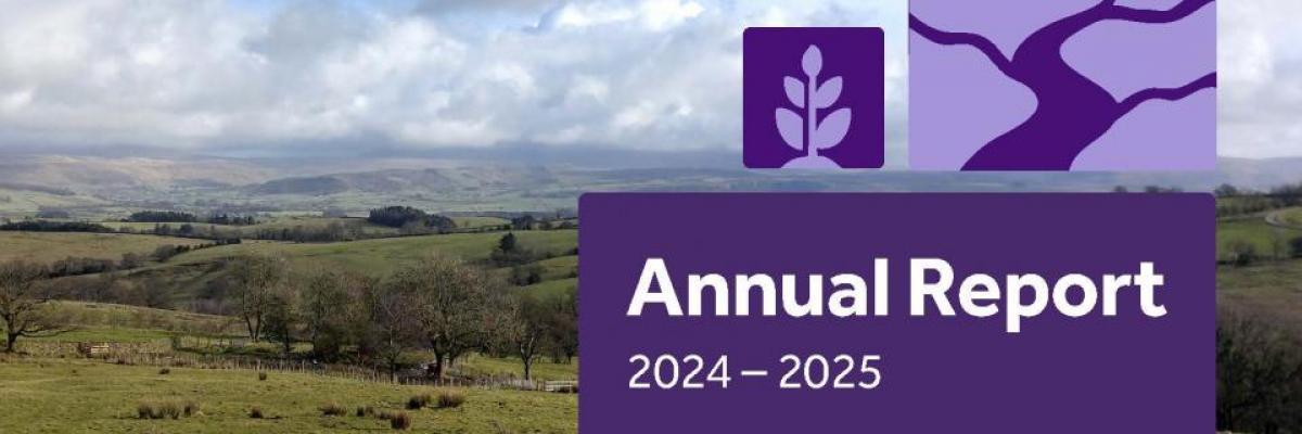 Annual report cover Annual report cover