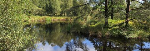 Time to reflect © Margaret Cliffe