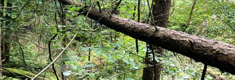 Crosses In Our Journey © Serena Danielle