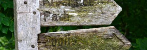 Which way to go? © Isabel Miller