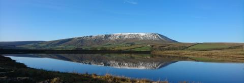 Reflection © Tracey Buckle 