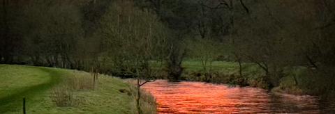 Morning Glory . © Ste Adair