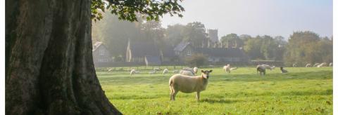 Autumn is coming © Sarah Whitwell