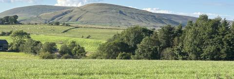 “One day” © Julie Berry