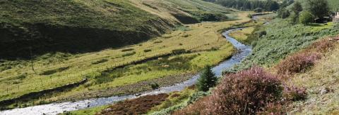 Farmer going about his day © Andrew Nuttall