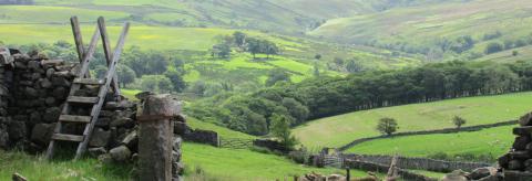 Summer in Littledale © Susan Lowe