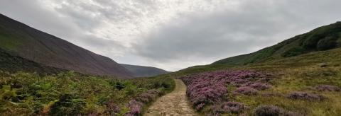 Autumn In Langden © Darren Carhart