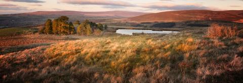 Golden hour on Nicky Nook © Mike Coleran