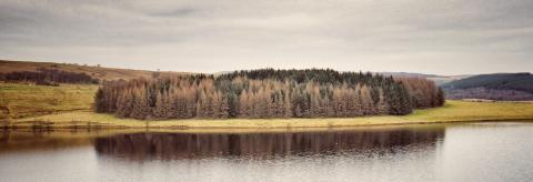 Reflections  © Zoe Hodkinson