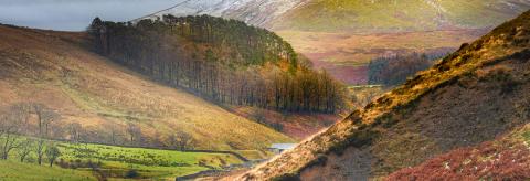 Autumn in The Trough © Mike Coleran