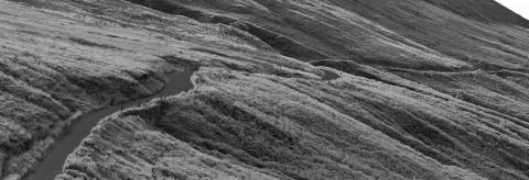 Ribbon in the landscape © Andrew Ward