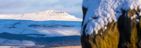 Snowy day © Andrew Ward