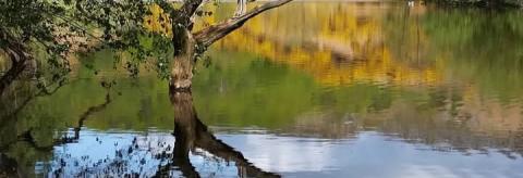 Water © Linda Longton 