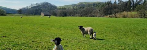 Spring is the most gorgeous season of the year  © Ivana Cadman