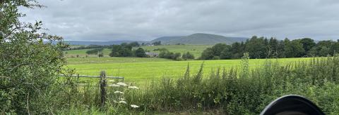 The Best Breakfast Spot in Town! © Julie Berry