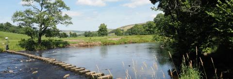 Stepping Stones at Whitewell © Suzanne Nuttall