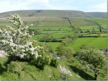 Pendle Hill from Worsaw Hill during May blossom time © Jon Hickling
