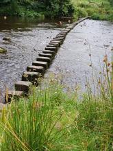 Stepping Stones © Julia Simpson