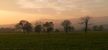 Autumn Trees in Bowland © Tony Openshaw
