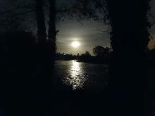 Watching bats by the river and then the moon came out  © Nigel cowking